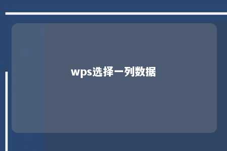 wps选择一列数据 