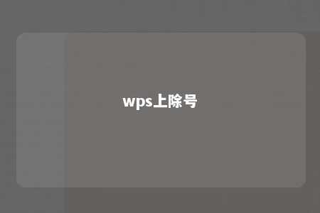 wps上除号 