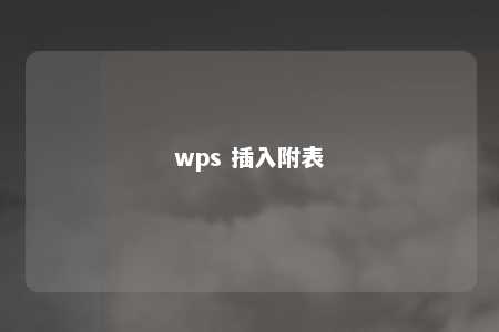 wps 插入附表 