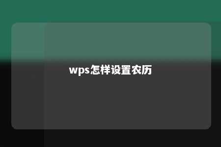 wps怎样设置农历 