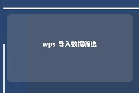 wps 导入数据筛选 