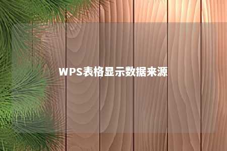 WPS表格显示数据来源 