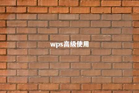 wps高级使用 