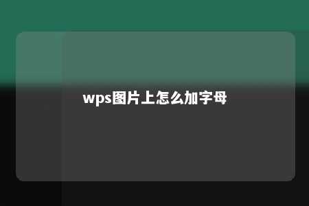 wps图片上怎么加字母 