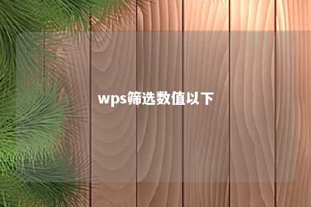 wps筛选数值以下