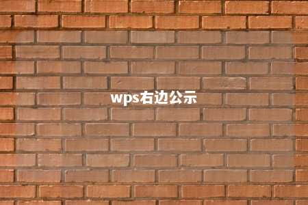 wps右边公示 