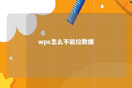 wps怎么不能拉数据 