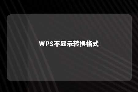 WPS不显示转换格式 