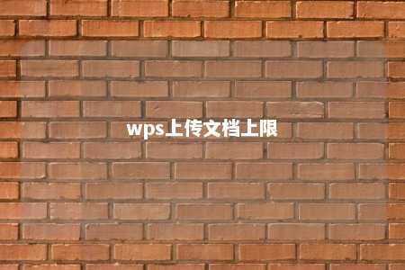 wps上传文档上限 