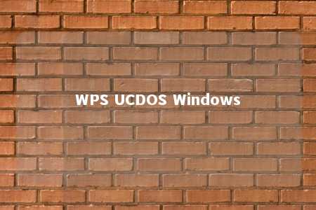 WPS UCDOS Windows 