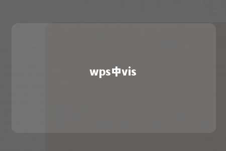 wps中vis