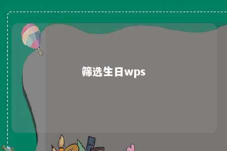 筛选生日wps 