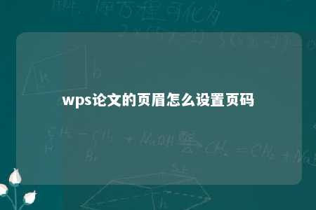 wps论文的页眉怎么设置页码