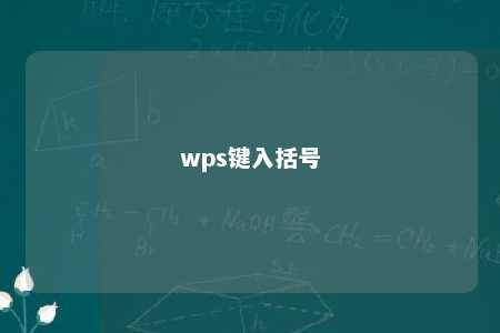 wps键入括号 