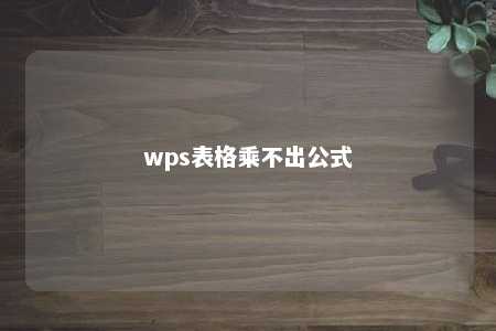 wps表格乘不出公式