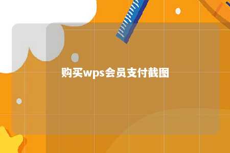 购买wps会员支付截图 