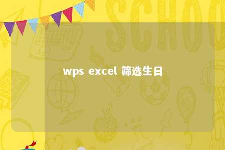 wps excel 筛选生日 