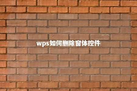 wps如何删除窗体控件